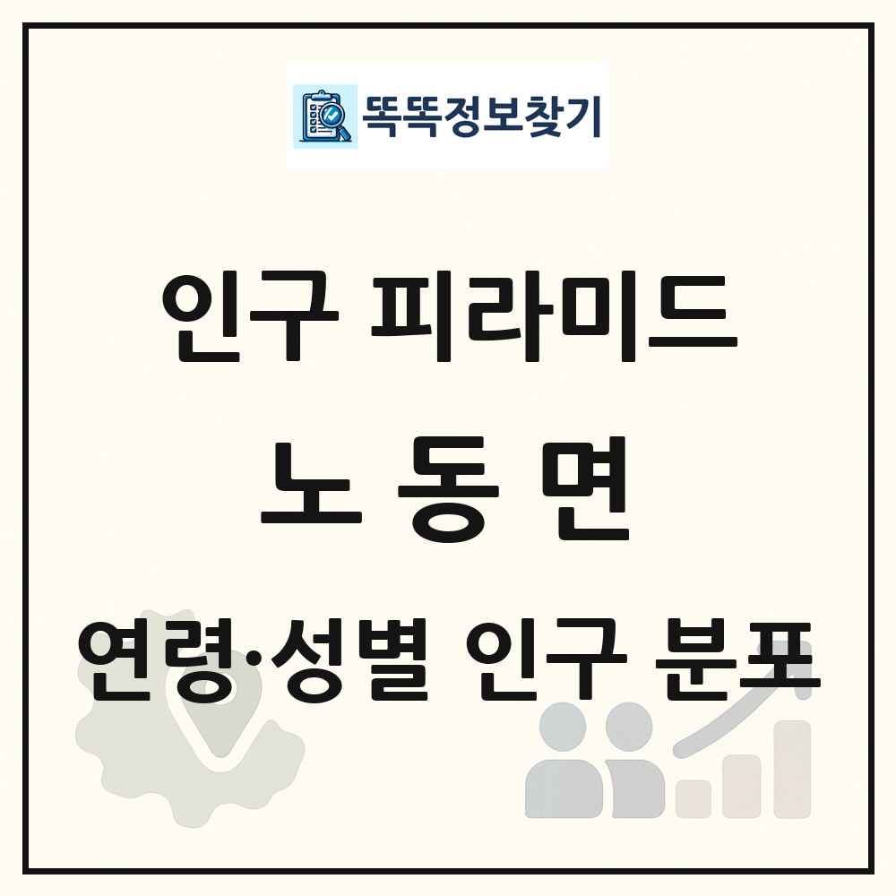 노동면 인구 피라미드 링크 그림